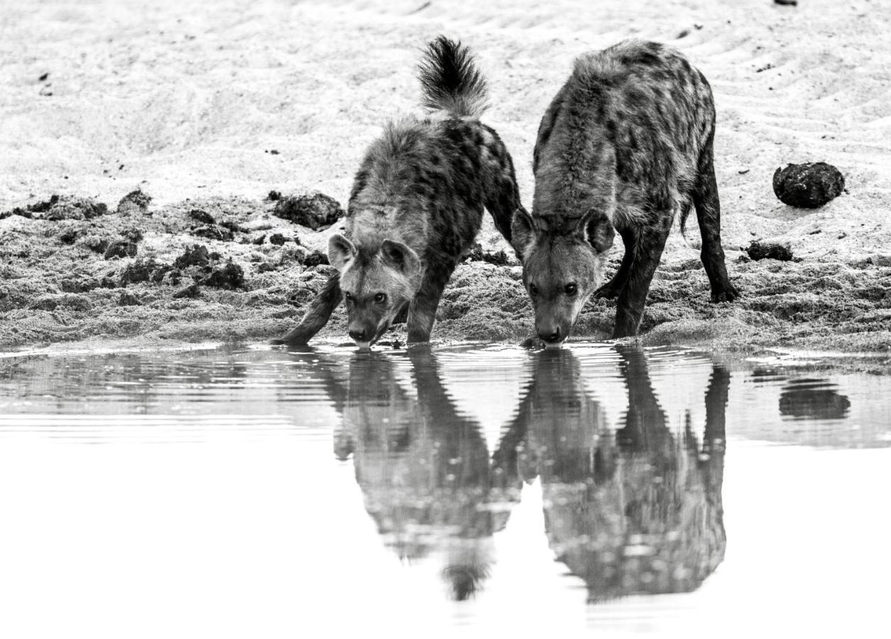 Jock Safari Lodge Skukuza Extérieur photo